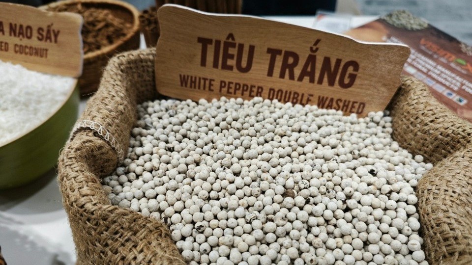 Giá tiêu tăng 500 đồng/kg tại một số địa phương