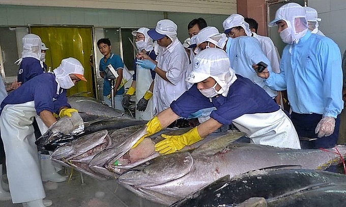 Tuy nhiên, để giữ được đà tăng trưởng này, ngành cá ngừ cần có động lực thúc đẩy.