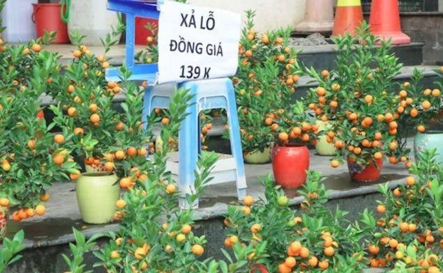 Tiểu thương giảm giá sớm để thu hút khách hàng