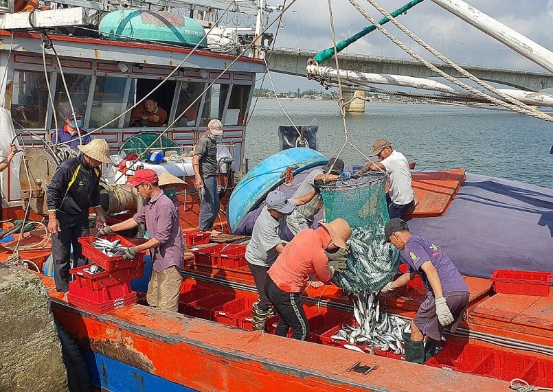 Hướng tới xây dựng ngành thủy sản bền vững