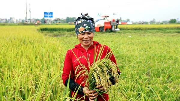 Những khát vọng kiến tạo ngành nông nghiệp trong năm mới