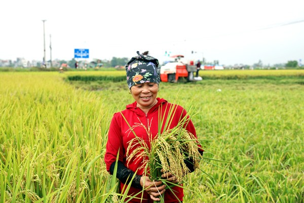 Những khát vọng kiến tạo ngành nông nghiệp trong năm mới