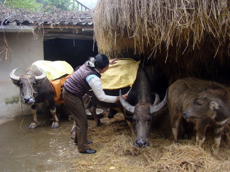 Tuyên truyền, phổ biến, hướng dẫn cho người dân các biện pháp, kỹ năng phòng, chống rét an toàn, hiệu quả