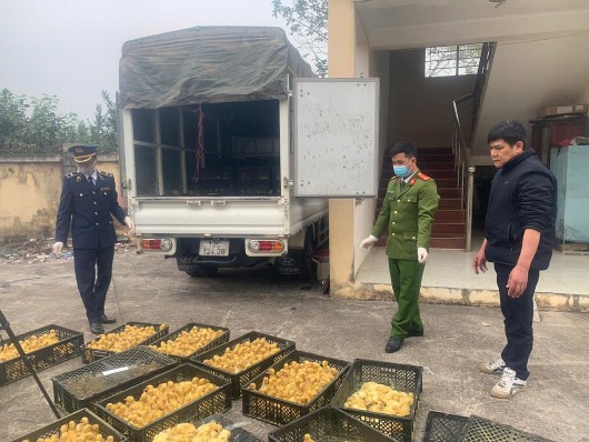 Lạng Sơn: Phát hiện, thu giữ lô hàng 2800 con vịt giống không rõ nguồn gốc
