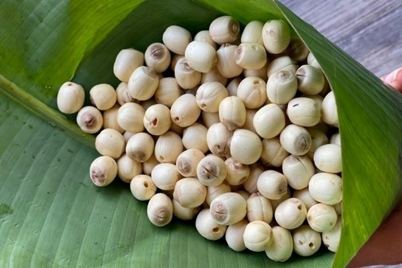 Hạt sen là nguồn cung cấp protein, chất xơ và vitamin, đặc biệt là vitamin C.