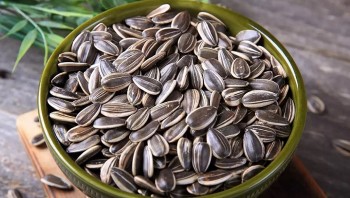 Những lợi ích hạt hướng dương mang đến cho mái tóc