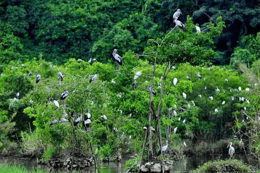 Vườn quốc gia Xuân Liên có tổng diện tích quản lý 25.601,98 ha, trãi dài trên địa bàn 5 xã, thị trấn thuộc huyện Thường Xuân.