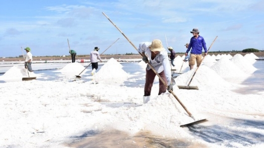 Festival nghề muối Việt Nam - Bạc Liêu 2025: Tôn vinh nghề làm muối truyền thống