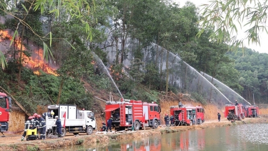 Hà Nội: Không chủ quan, lơ là trong phòng, chống cháy rừng mùa lễ hội