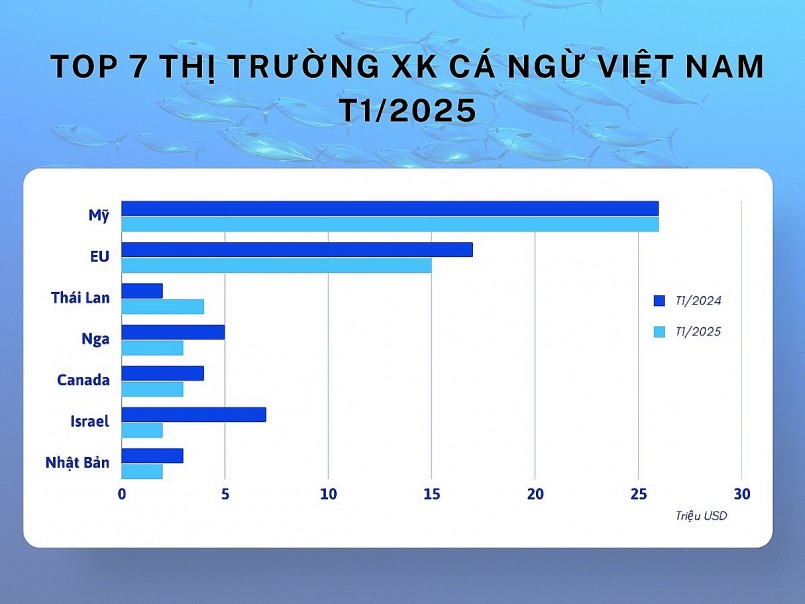 Thị trường xuất khẩu cá ngừ có nhiều biến động