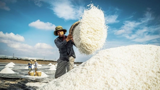 “Hạt muối không chỉ mặn vì nước biển, mà còn mặn vì mồ hôi người làm nghề”