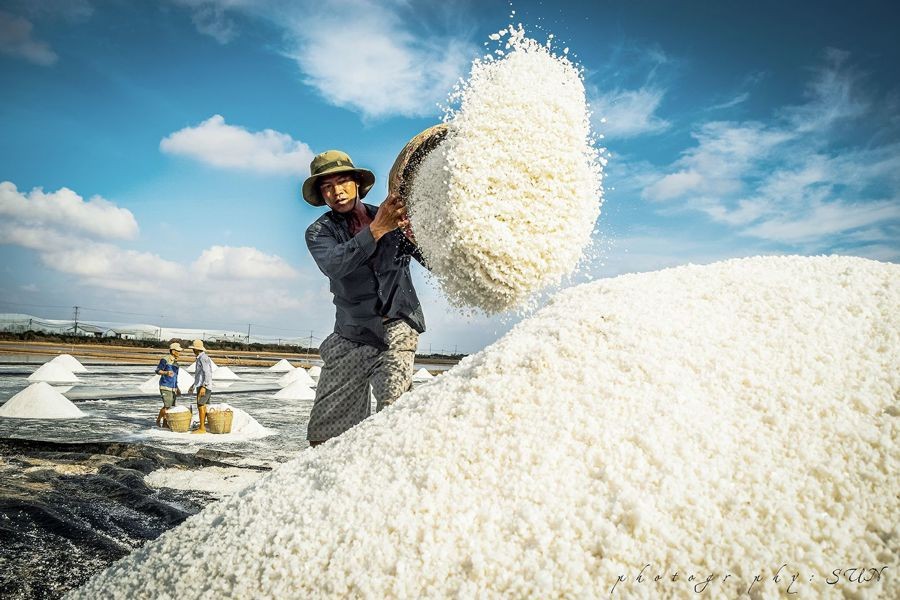 Hạt muối không chỉ mặn vì nước biển, mà còn mặn vì mồ hôi người làm nghề.