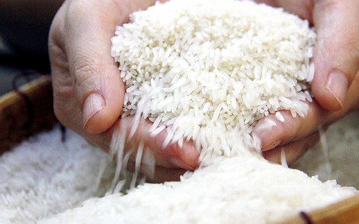 Giá gạo hiện “không quá lo lắng”, nông dân vẫn có lời