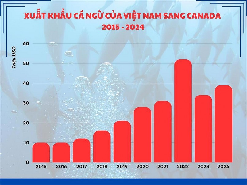 Gia tăng cạnh tranh tại thị trường cá ngừ Canada