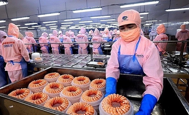 tháng 1/2025, xuất khẩu tôm Việt Nam sang Anh đạt hơn 16 triệu USD, tăng 8% so với cùng kỳ năm ngoái