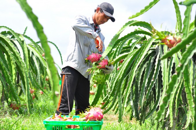 Thương mại Việt Nam – Trung Quốc tiếp tục tăng trưởng mạnh, vượt 31 tỷ USD