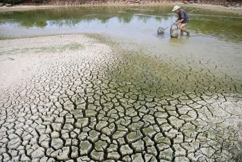 Thanh Hóa chủ động phòng, chống hạn hán, thiếu nước, xâm nhập mặn năm 2025