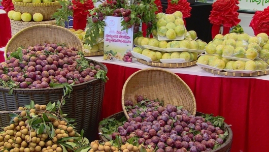 Sơn La hỗ trợ tiêu thụ nông sản trên sàn thương mại điện tử