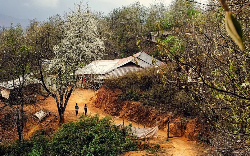 Nét đẹp cuộc sống thường nhật hòa cùng sắc hoa, mây trời đã tạo ra một bức tranh đẹp kỳ diệu cho bản làng nơi đây.