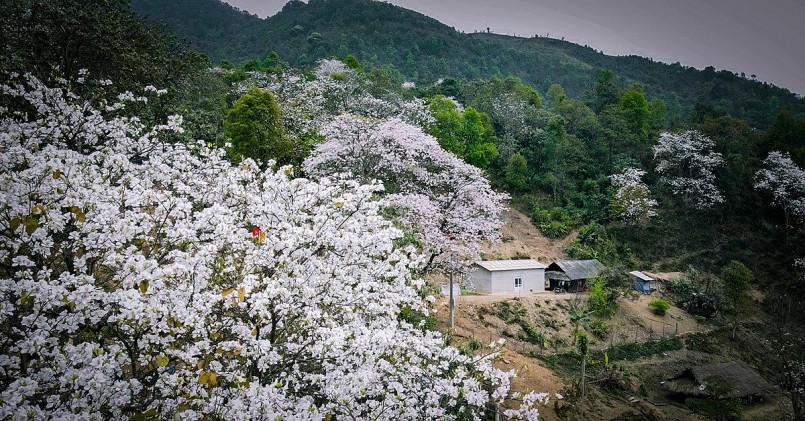 Nặm Cứm không chỉ là một điểm đến, mà còn là một giấc mơ, bản tình ca thiên nhiên khiến lòng người ngây ngất.