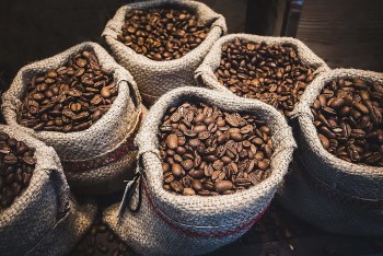Giá cà phê tiếp tục lao dốc bởi đòn thuế quan của Mỹ