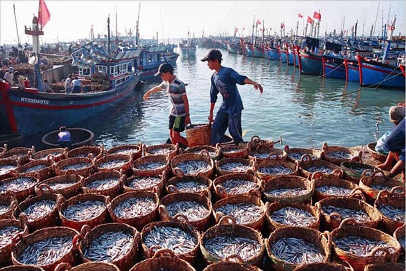 Ước tính sản lượng thủy sản khai thác quý I/2025 đạt 879,8 nghìn tấn