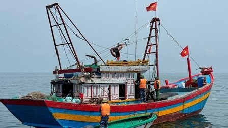Nghệ An: Quyết liệt các giải pháp chống khai thác hải sản bất hợp pháp