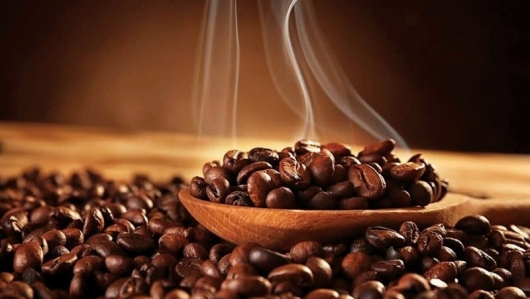 Thiếu hụt nguồn cung, giá cà phê bật tăng trở lại