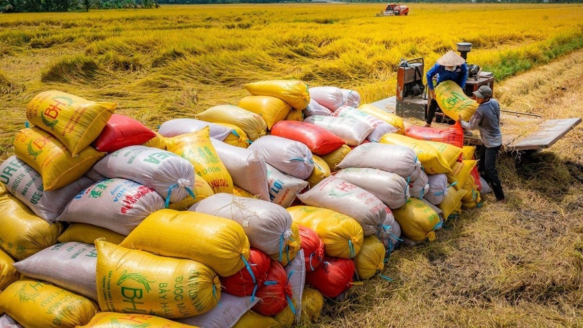 Bộ Công Thương thu hồi 10 giấy chứng nhận kinh doanh xuất khẩu gạo