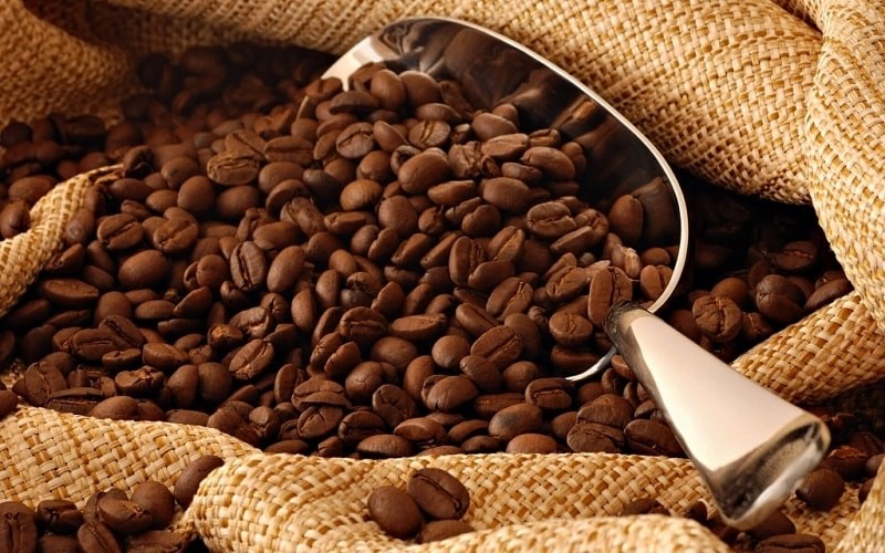 Giá cà phê vẫn chưa trở lại mốc 130.000 đồng/kg.