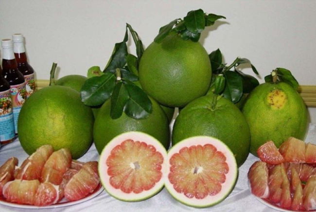 Bưởi Việt Nam rộng cửa xuất khẩu: Cơ hội vàng từ Australia và Hàn Quốc