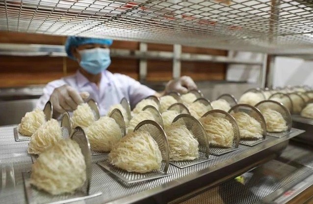 Ngành yến Việt Nam: Cơ hội và thách thức từ thị trường Trung Quốc