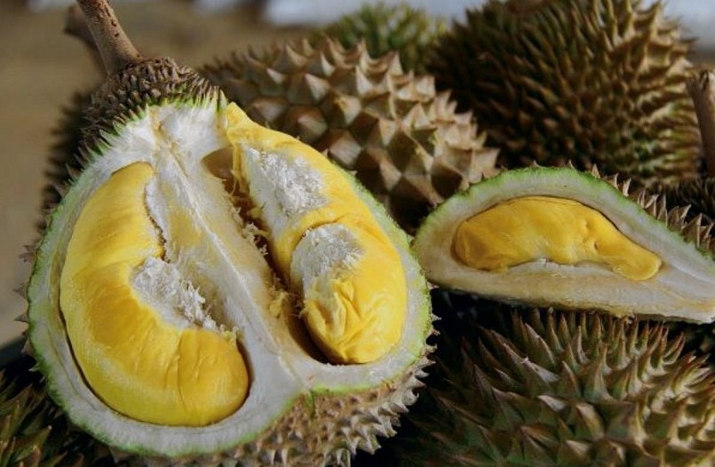 Loại sầu riêng mới gây bão, giá chạm mốc 800.000 đồng/kg