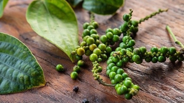Giá hồ tiêu sẽ thủng mốc 150.000 đồng/kg?