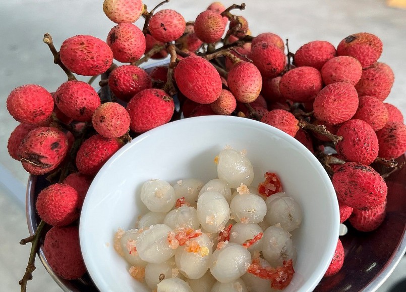 Trái trường Bảy Núi – Viên ngọc đỏ giữa đại ngàn Tây Nam Bộ