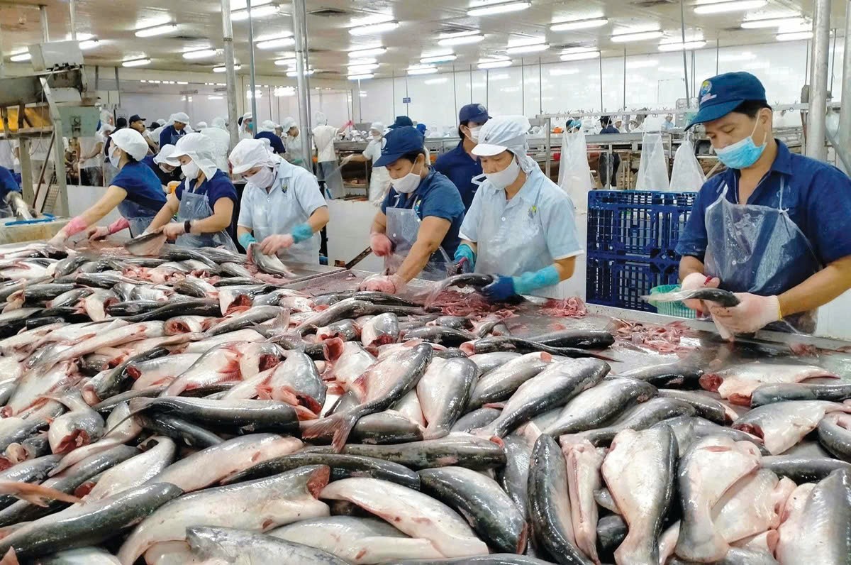 Xuất khẩu nông, lâm, thủy sản đạt hơn 21 tỷ USD: Nỗ lực vượt sóng thương mại