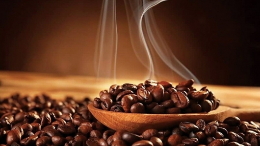 Giá cà phê thế giới giảm mạnh, thị trường nội địa hạ nhiệt