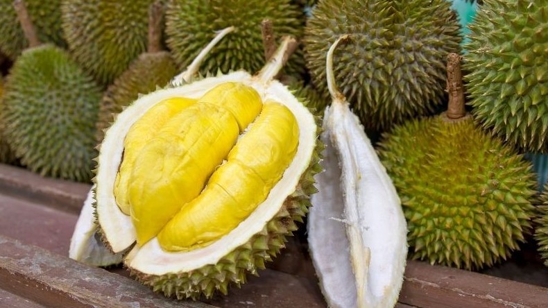 Sầu riêng Việt Nam chật vật vào Trung Quốc giữa lúc Thái Lan tăng tốc