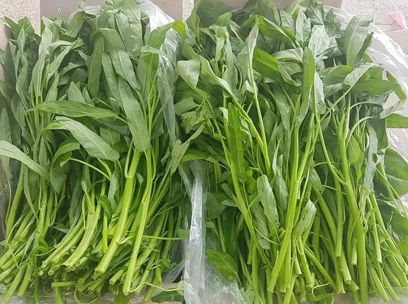 Mực cuốn rau muống hấp dẫn bao người mê nhưng liệu có thật sự an toàn?
