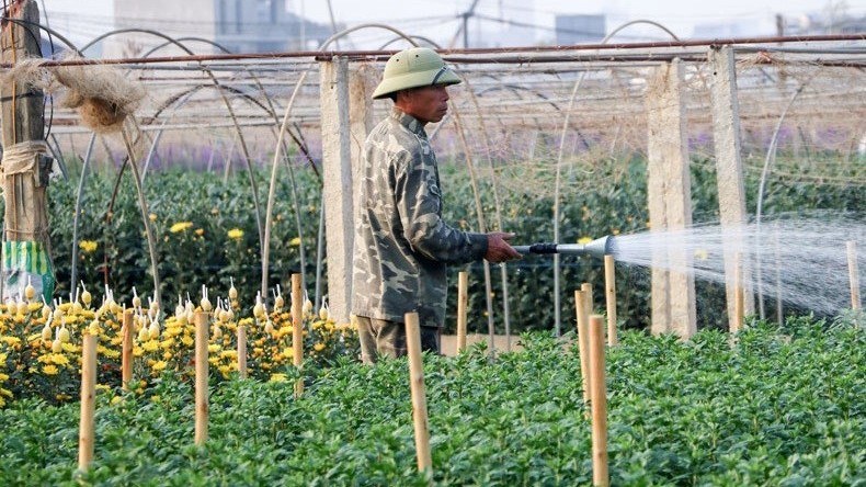 Linh Sơn: Từ huyền thoại hang động đến vùng quê nông nghiệp hiện đại