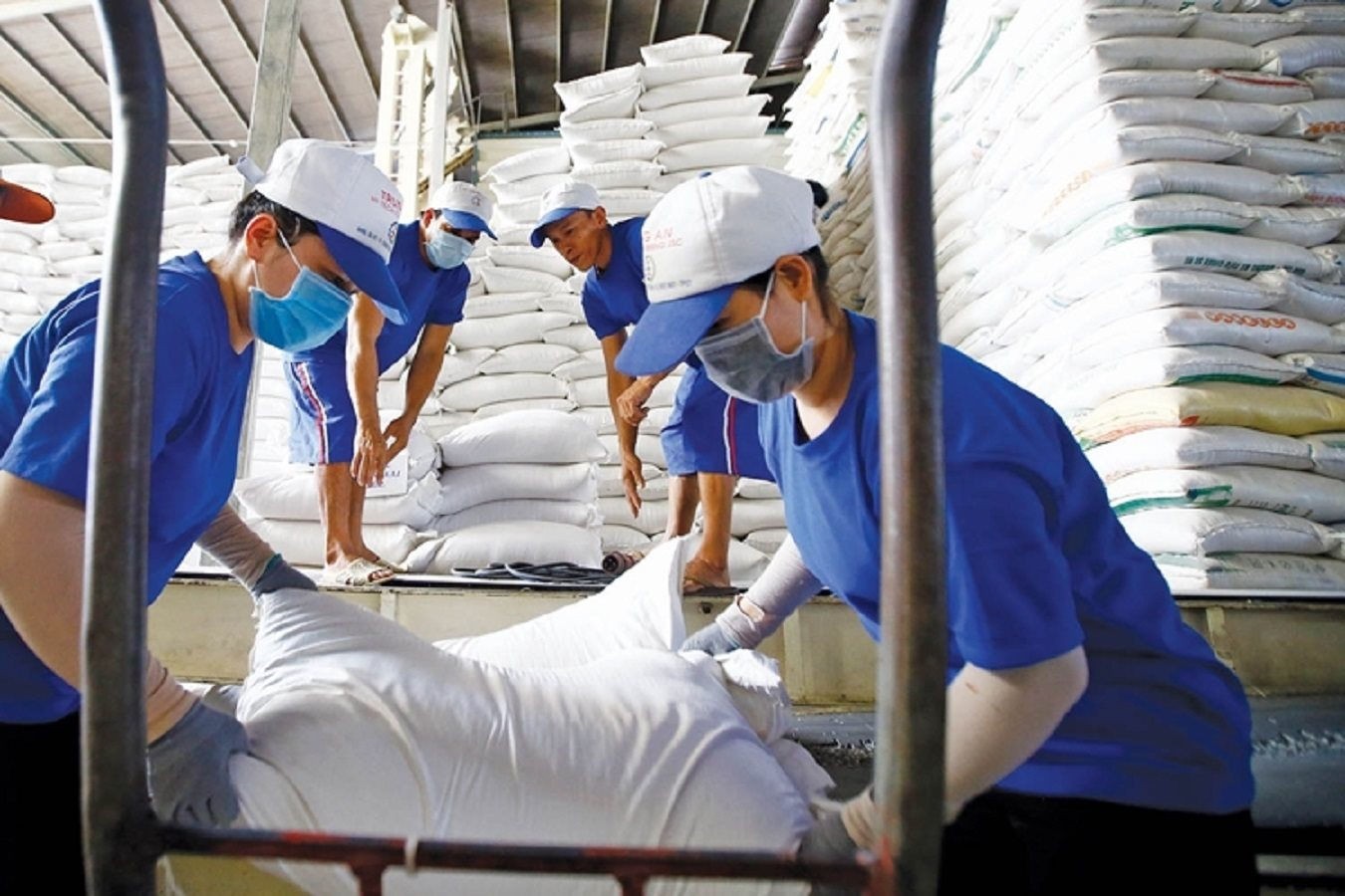 Bộ Công Thương tiếp tục hoàn thiện văn bản pháp quy về kinh doanh xuất khẩu gạo.