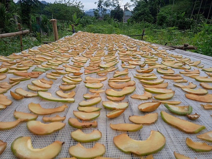Quả tai chua – Đặc sản rừng sâu “gây thương nhớ” giữa phố thị