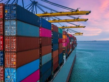 Tự chuyển mình để thích nghi: Giải pháp căn cơ cho xuất khẩu việt nam