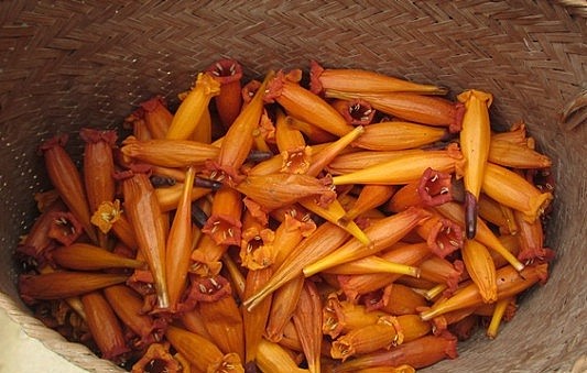 4 món ngon “níu chân” du khách của người Thái bên dòng Nậm Bai