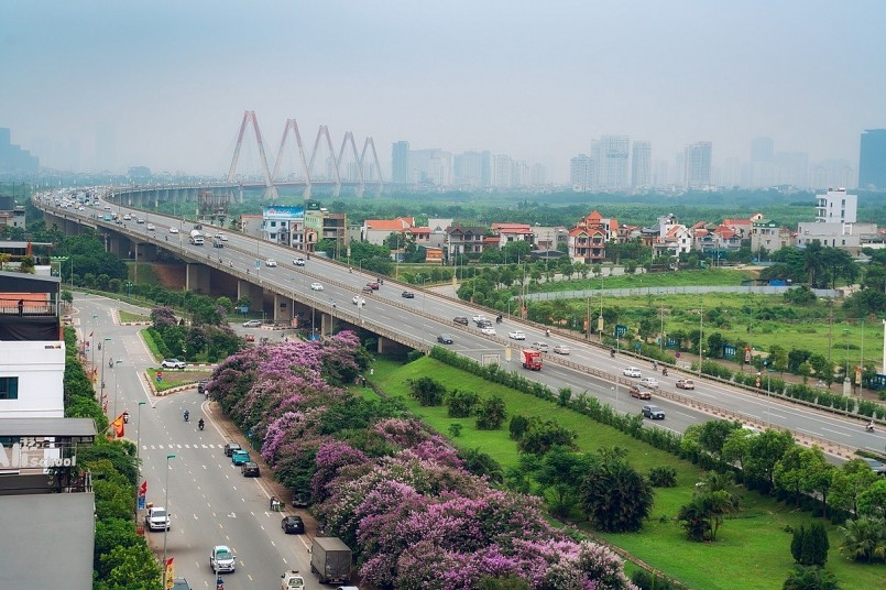 Từng góc phố nhỏ đều được trồng cây bằng lăng tím.