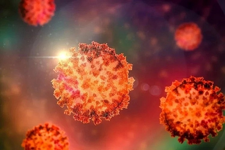 Biến thể XEC có tốc độ lây lan nhanh hơn nhiều so với các biến thể phụ Omicron khác. Ảnh: Shutterstock.
