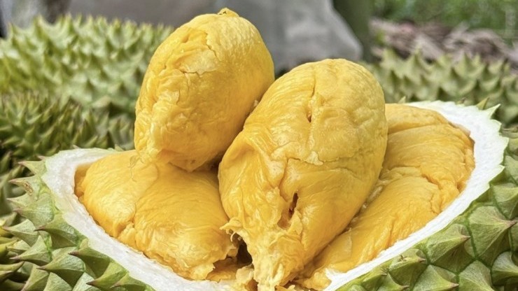Phó Thủ tướng yêu cầu hành động quyết liệt với ngành sầu riêng