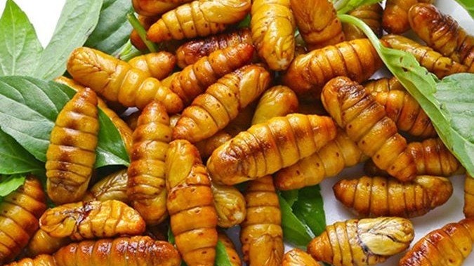Người đàn ông sốc phản vệ nặng sau khi ăn nhộng tằm