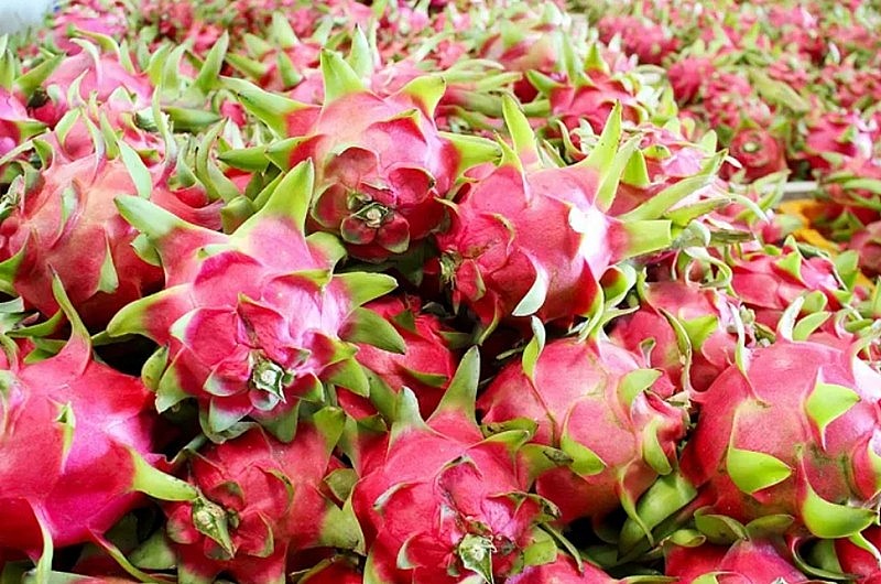 Nông sản Việt nỗ lực thích ứng trong “cuộc chơi” thị trường khắt khe