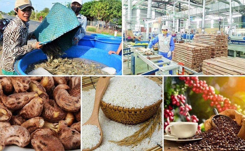 Nông sản Việt nỗ lực thích ứng trong “cuộc chơi” thị trường khắt khe